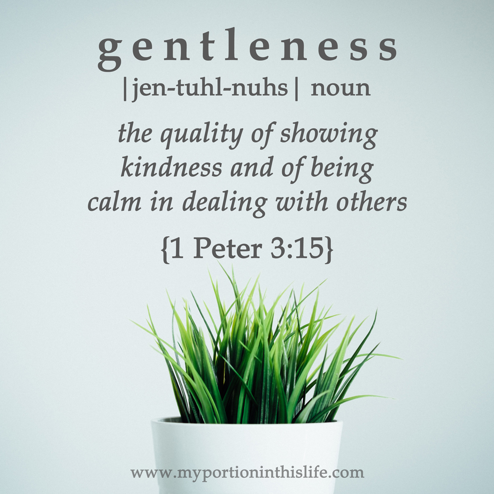 What Is A Good Sentence For Gentleness